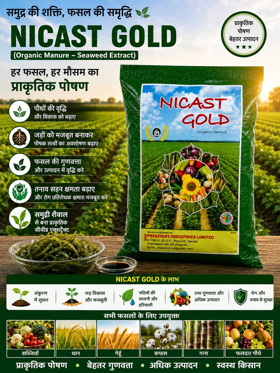 Nicast Gold